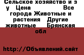 Сельское хозяйство и з/у › Цена ­ 2 500 000 - Все города Животные и растения » Другие животные   . Брянская обл.